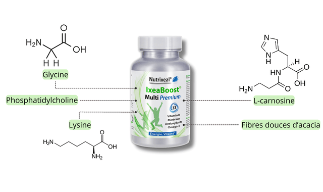 De la glycine, L-carnosine, phosphatidylcholine, fibres douces d’acacia, lysine dans le Multivitamines Ixeaboost Multi Premium